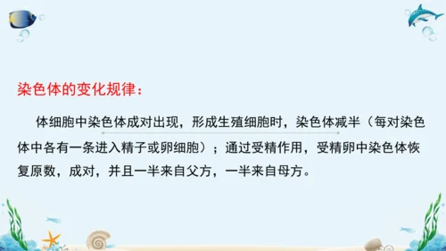 人教版八年级下册生物复习课件