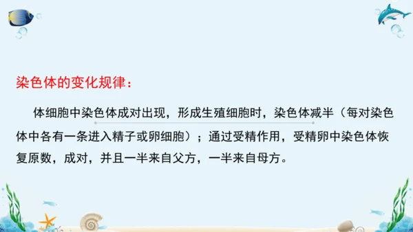 人教版八年级下册生物复习课件