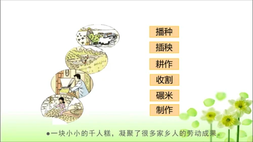第14课 家乡物产养育我 课件 人教版道德与法治 二年级上册