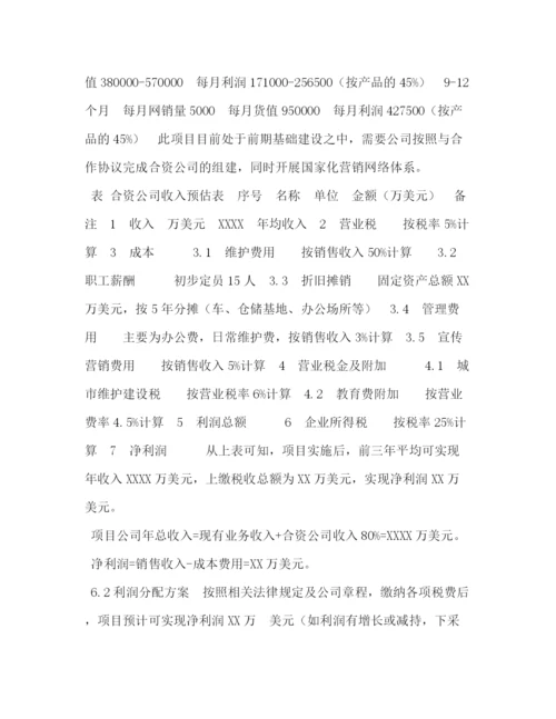 精编之i品牌女鞋全球网络销售项目融资计划书.docx