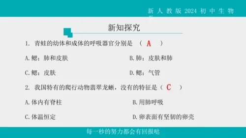 人教版生物七年级上册2.2.2《脊椎动物》（第1课时）课件(共42张PPT)+视频素材