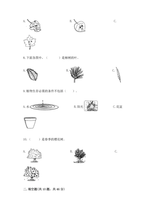 教科版科学一年级上册期末测试卷【考点精练】.docx
