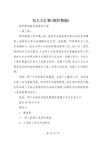 市人大汇报(秸秆禁烧) (3).docx