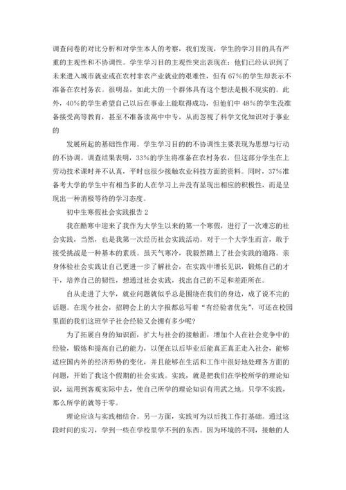 初中生寒假社会实践报告(10篇).docx