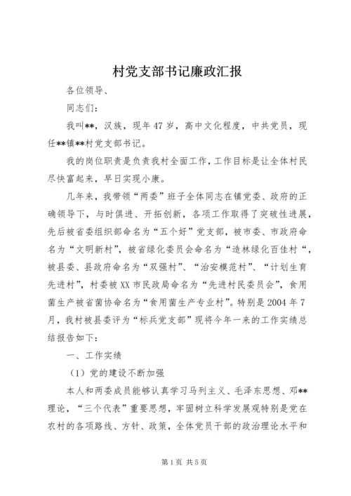 村党支部书记廉政汇报 (5).docx