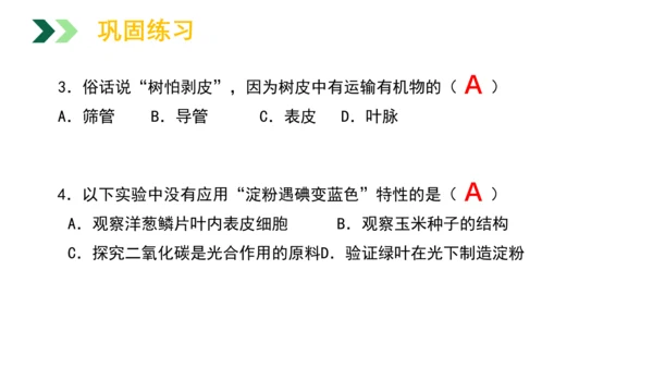 3.5.1 光合作用吸收二氧化碳释放氧气2023-2024学年七年级生物上册精品教学课件（人教版）(