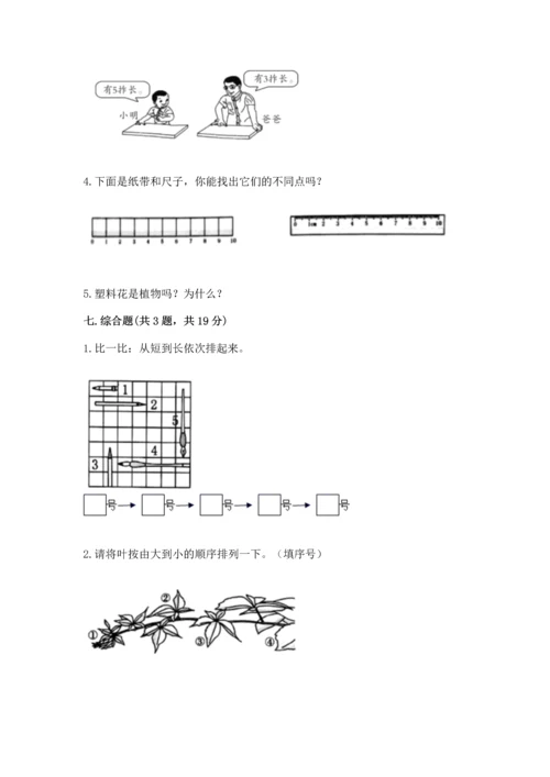 教科版一年级上册科学期末测试卷及参考答案【预热题】.docx