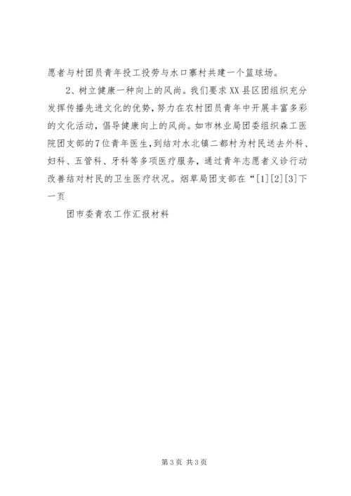 团市委青农工作汇报材料 (3).docx