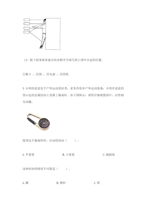 教科版二年级下册科学知识点期末测试卷含答案【达标题】.docx