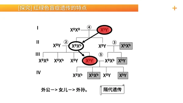基因学伴性遗传初高中生物PPT课件