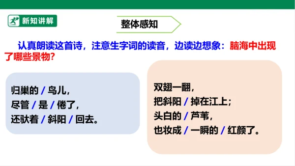 3.现代诗二首 秋晚的江上 课件