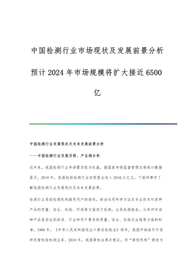 中国检测行业市场现状及发展前景分析-预计2024年市场规模将扩大接近6500亿.docx