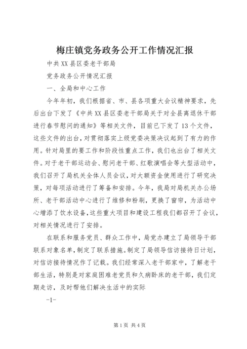 梅庄镇党务政务公开工作情况汇报 (4).docx