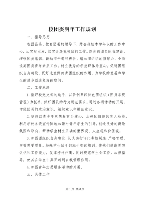 校团委明年工作规划.docx