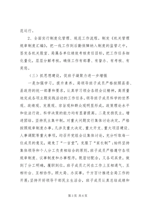 县文体广电局领导班子思想政治建设调研报告.docx