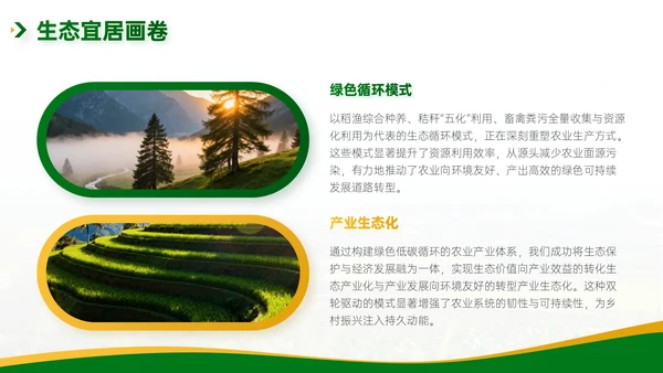 绿色简约风乡村农业工作总结PPT模板