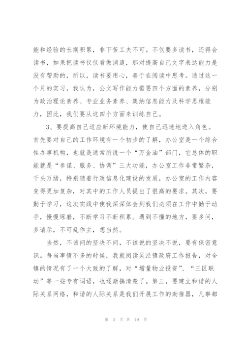 政府实习总结范文5篇.docx