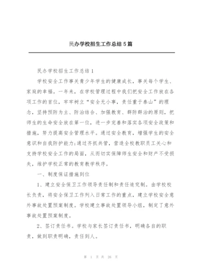 民办学校招生工作总结5篇.docx