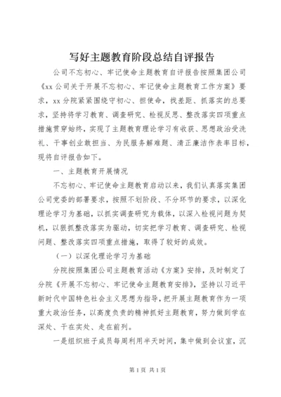写好主题教育阶段总结自评报告.docx