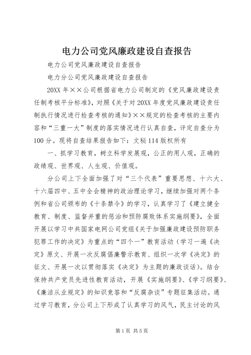 电力公司党风廉政建设自查报告 (2).docx