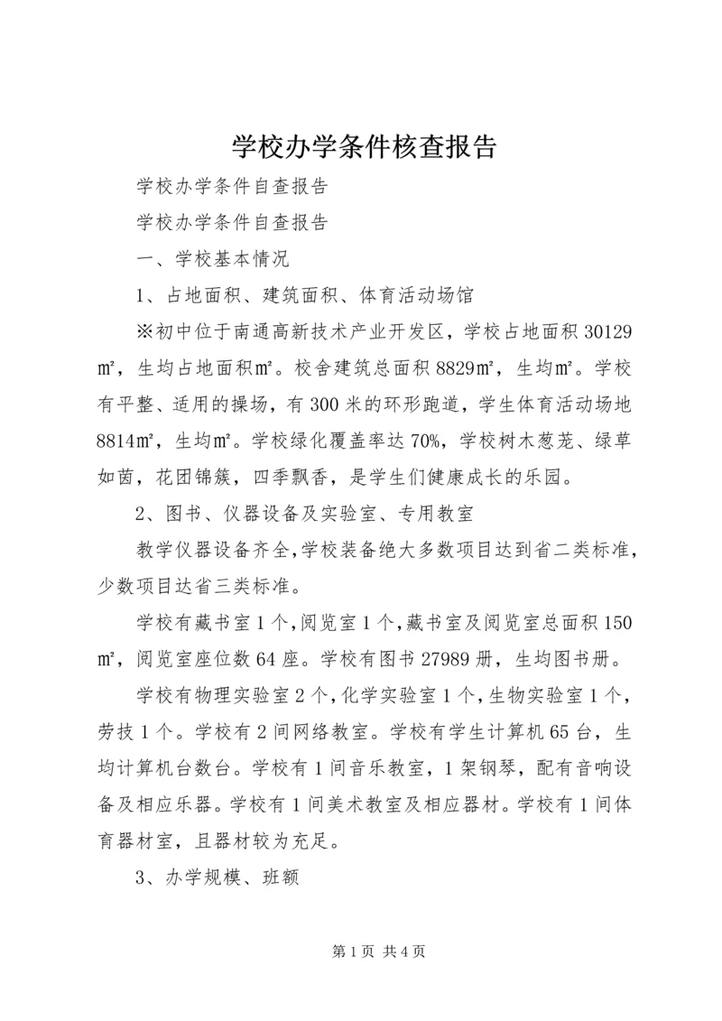 学校办学条件核查报告 (2).docx