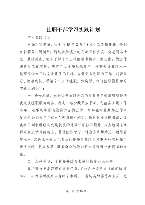 挂职干部学习实践计划.docx