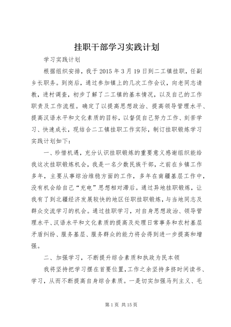 挂职干部学习实践计划.docx