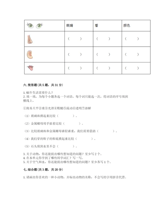 教科版一年级下册科学期末测试卷及参考答案（研优卷）.docx