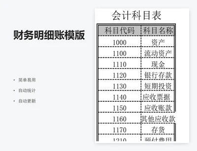 财务明细账模版