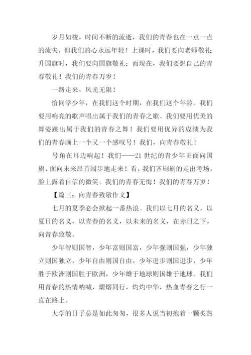 向青春致敬作文.docx