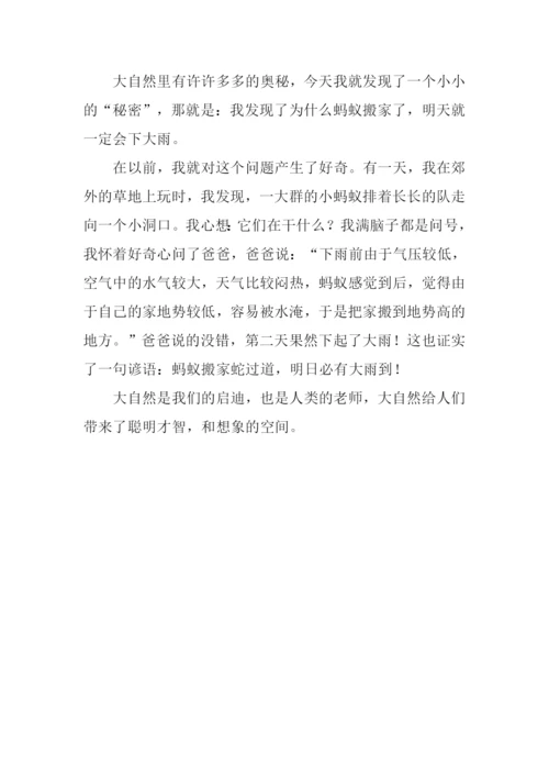 三年级我的发现作文300字.docx