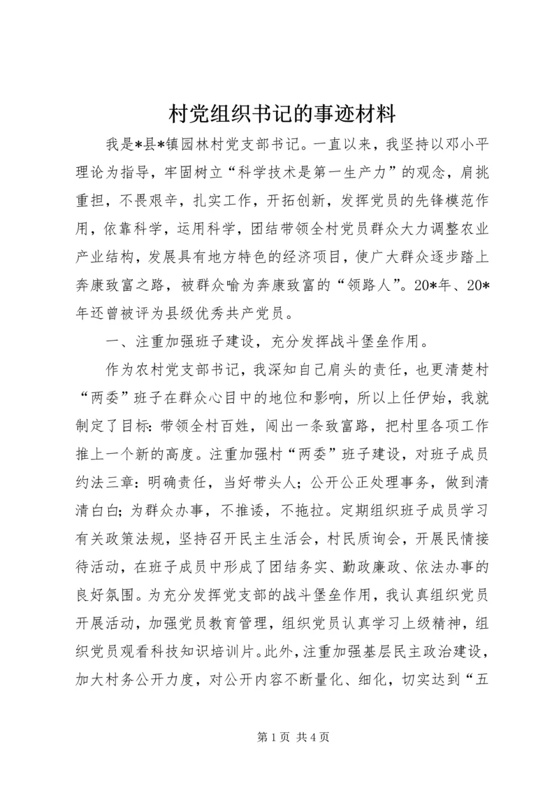 村党组织书记的事迹材料.docx