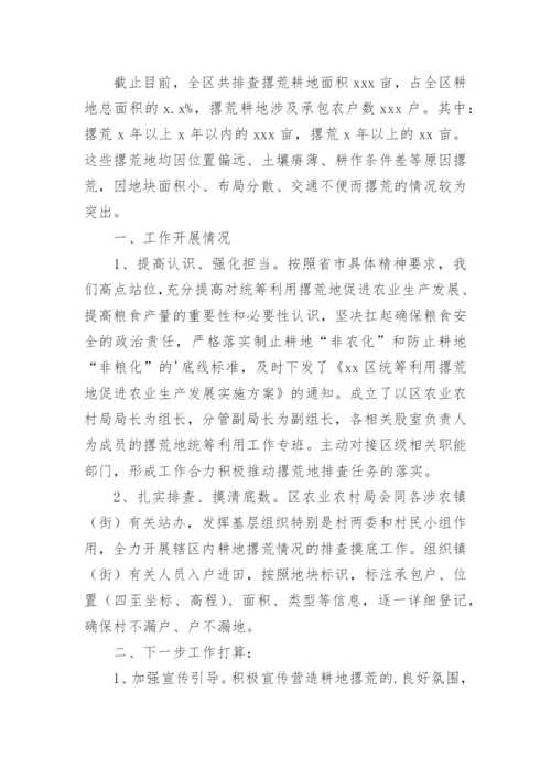 农村乱占耕地建房问题整治工作情况汇报.docx