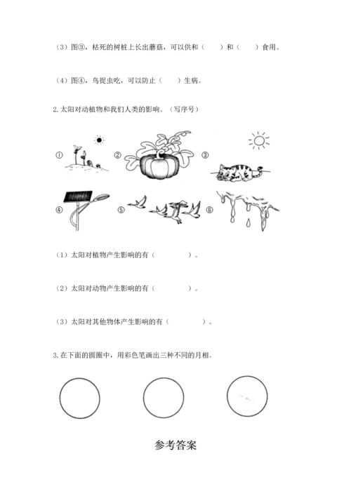 教科版二年级上册科学期末测试卷（考试直接用）.docx