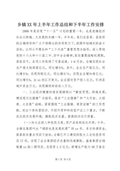 乡镇某年上半年工作总结和下半年工作安排.docx