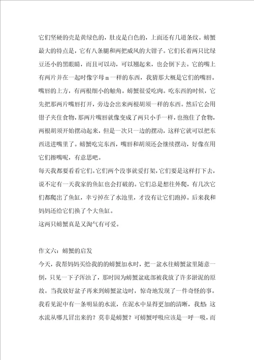 写螃蟹的作文