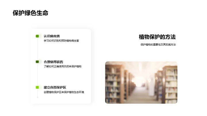 探索植物的奥秘