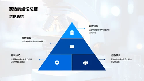 科学探究之旅