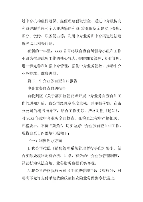 中介机构自查报告