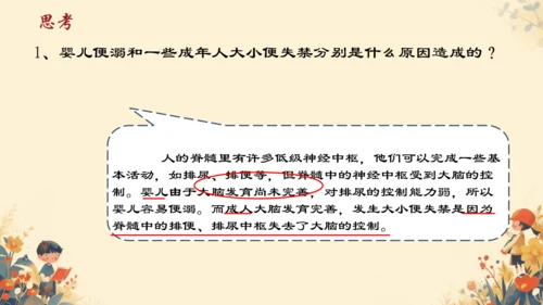 人教版（新课程标准）七年级下册4.6.2  神经系统的组成课件(共20张PPT)