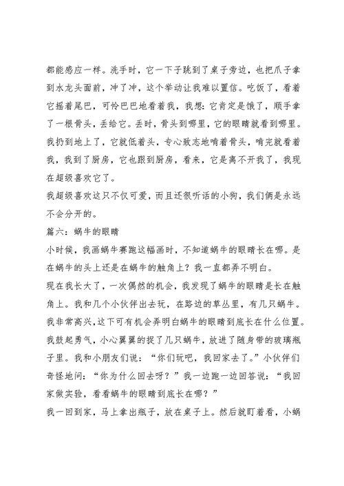 写动物的作文600字6篇(共55页)