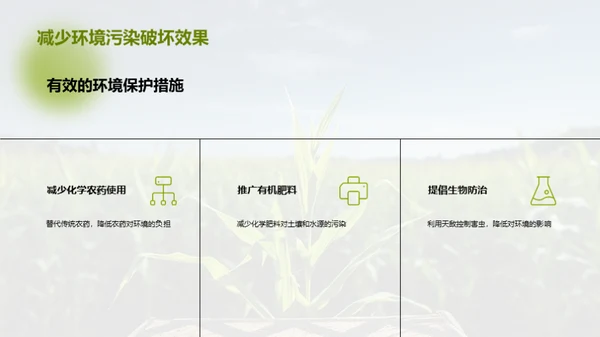 绿色农业：玉米种植新篇章