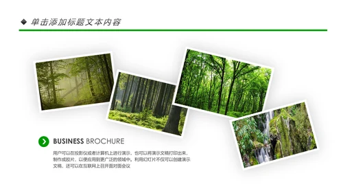 绿色环保世界湿地森林日动态PPT模板