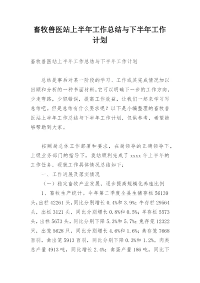 畜牧兽医站上半年工作总结与下半年工作计划.docx