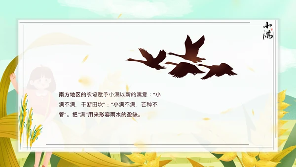 食粮丰收麦穗小满PPT模板