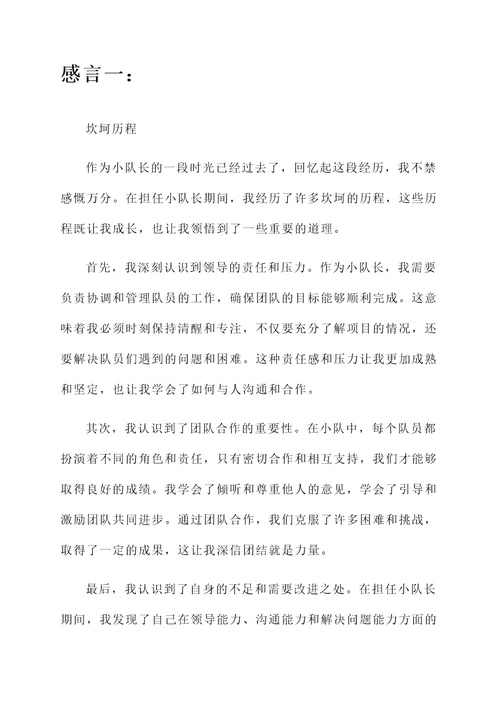 不做小队长后的感言