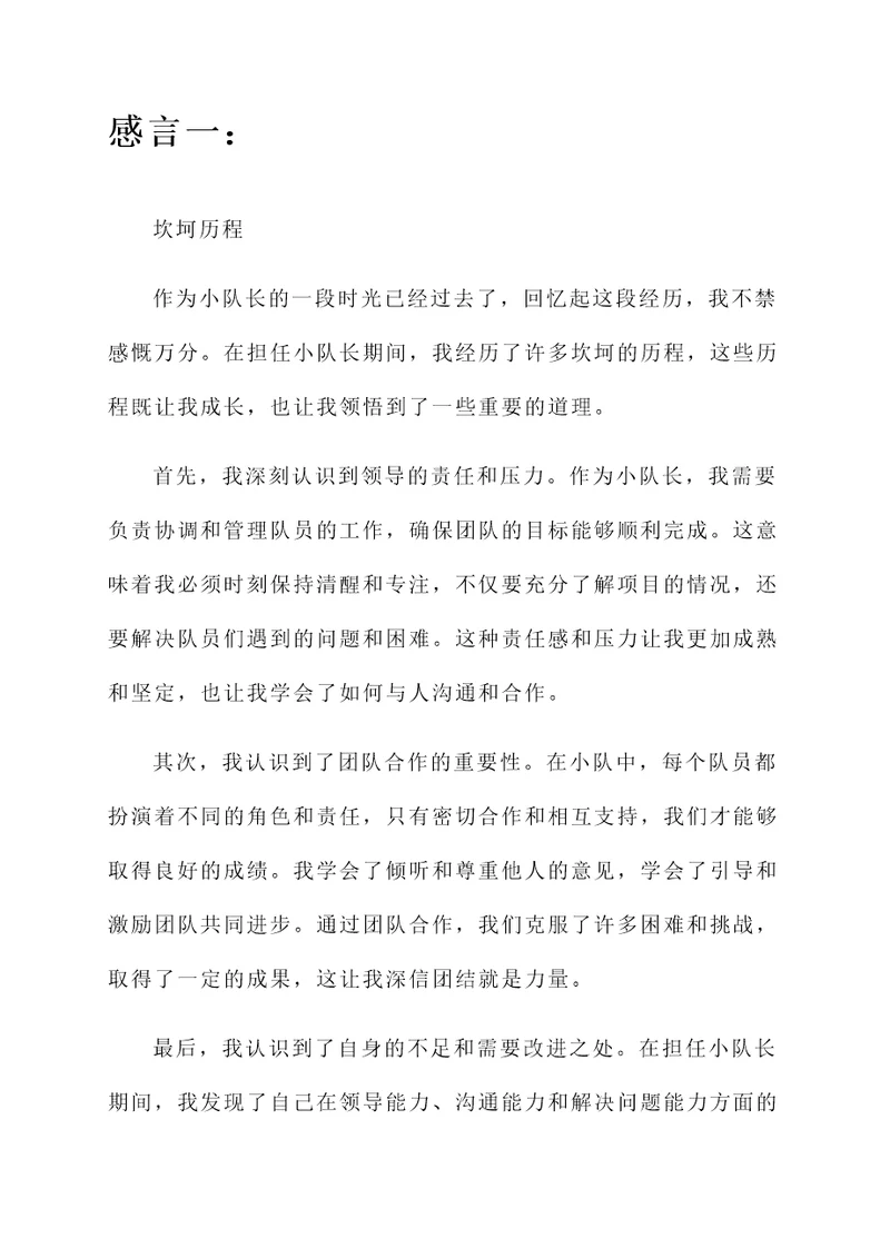 不做小队长后的感言