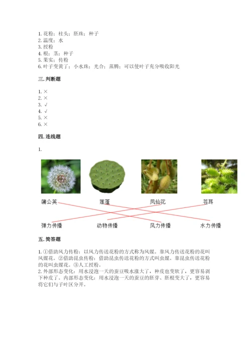 教科版科学四年级下册第一单元《植物的生长变化》测试卷【综合卷】.docx