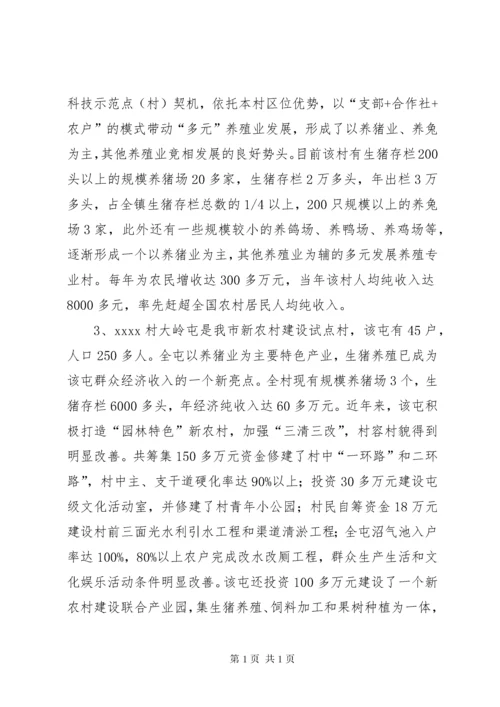 驻村第一书记年终工作总结与计划驻村第一书记工作总结.docx