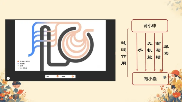 初中生物学[期末专区]七年级下册第四章和第五章复习课件(共39张PPT)